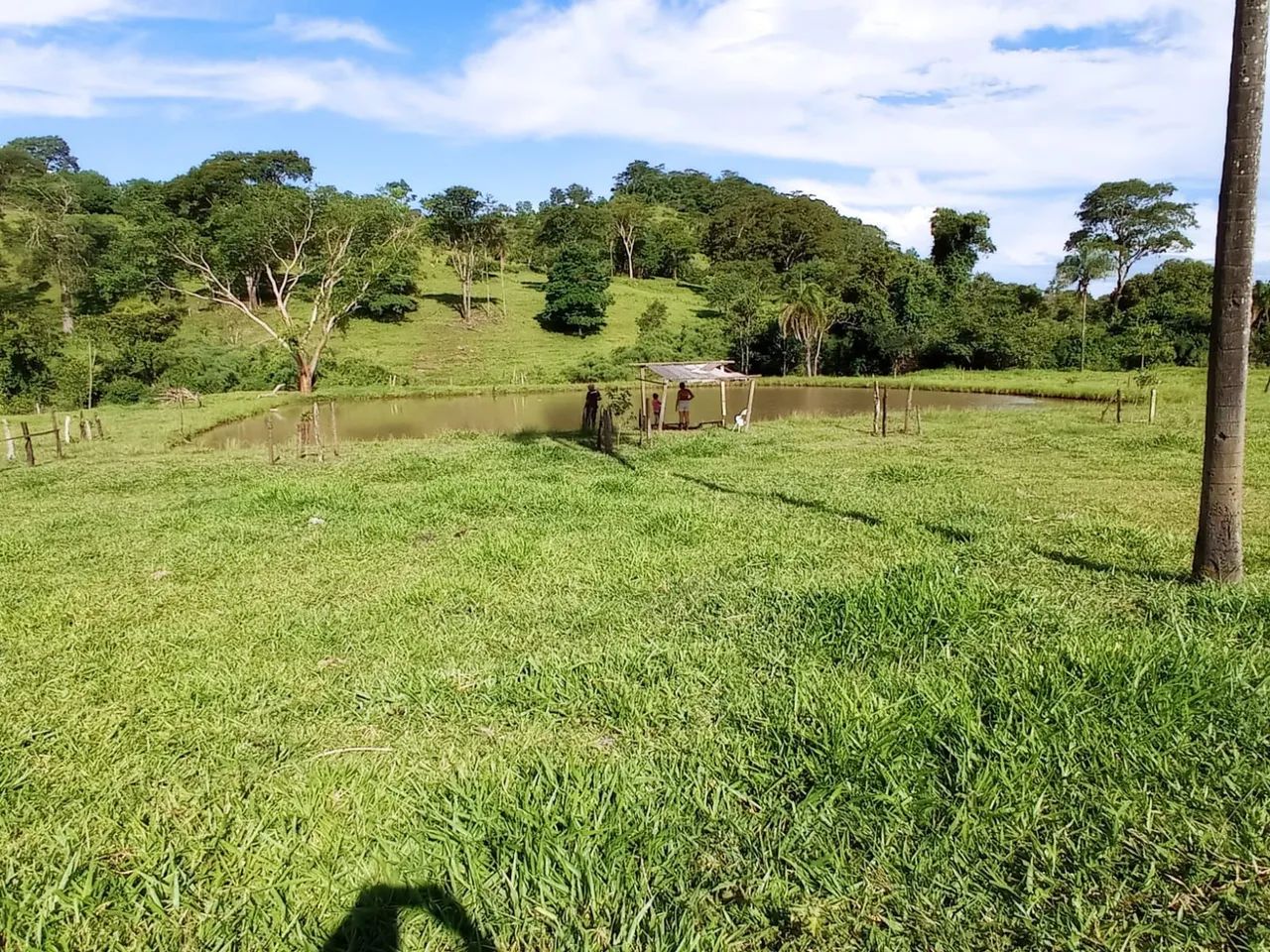 Chácara 5 alqueires em trindade  - Foto 3