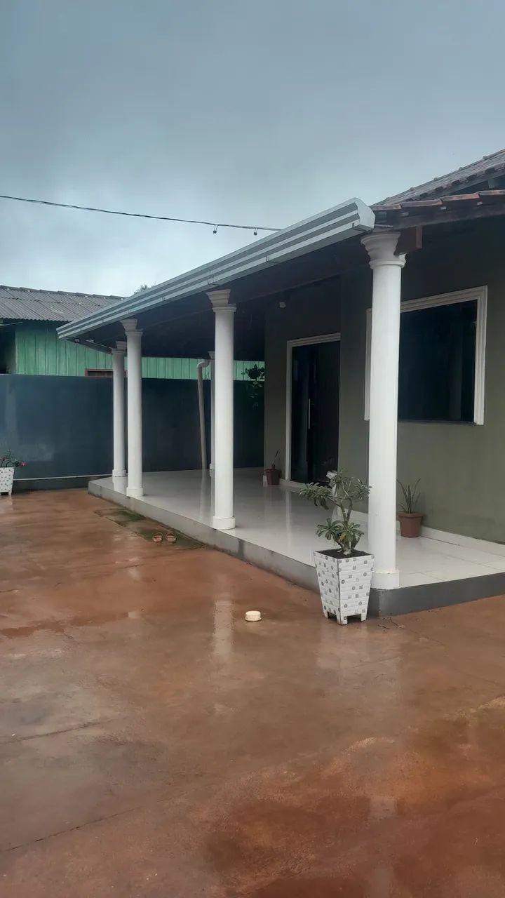 foto - Santarém - Floresta