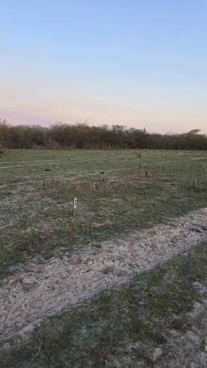 Terreno no Sítio Tigre (10x40) próximo ao açude com pontos de água e energia. - Foto 3