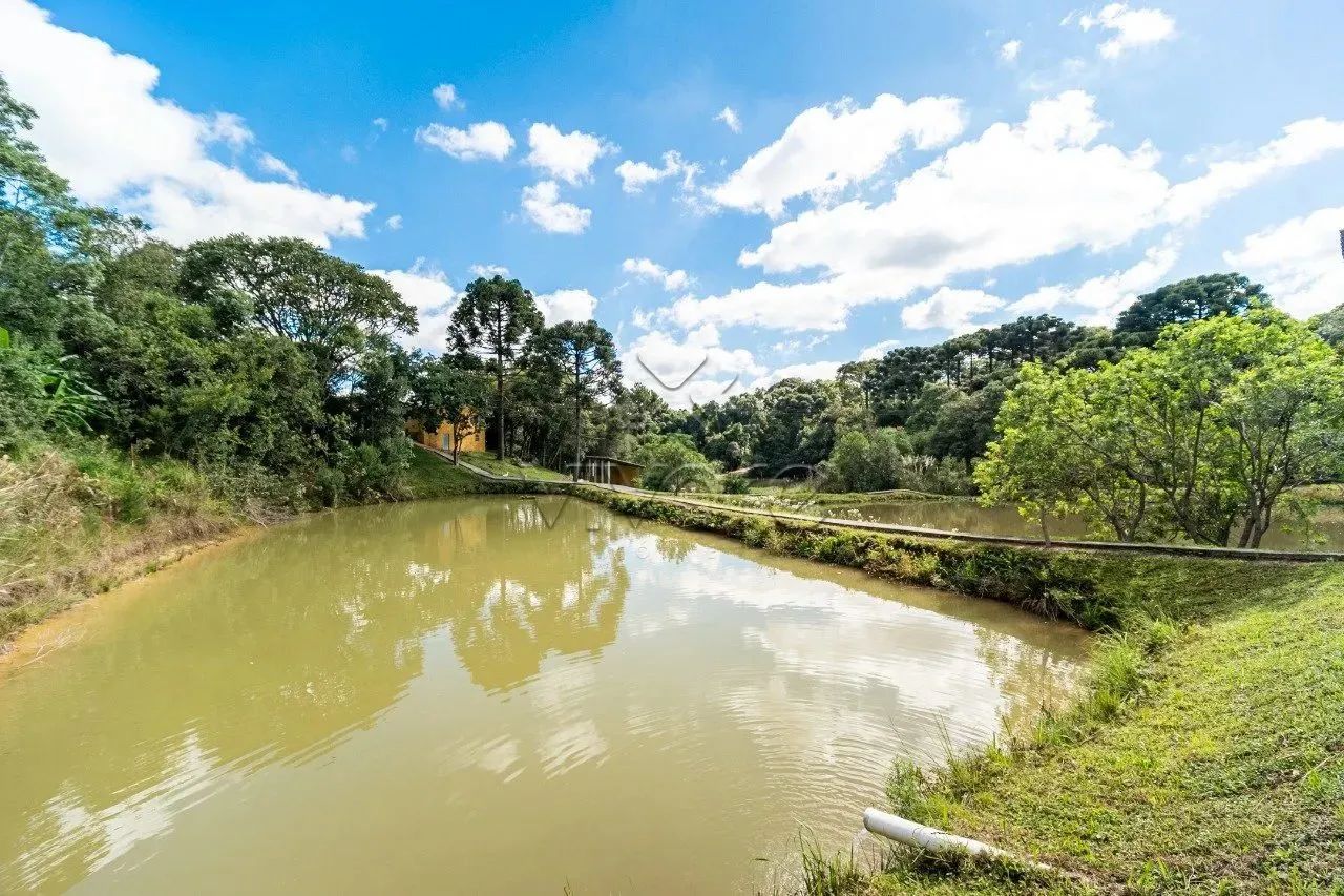 Chácara a 40 minutos de Curitiba em frente a BR-116 Mandirituba à venda - Foto 5