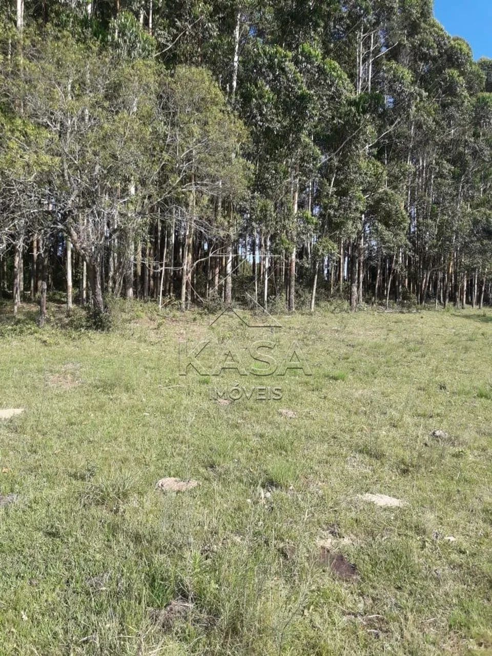Área de terra à venda - Foto 5