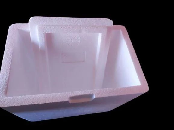 Caixa de Isopor para Embalar - Foto 2