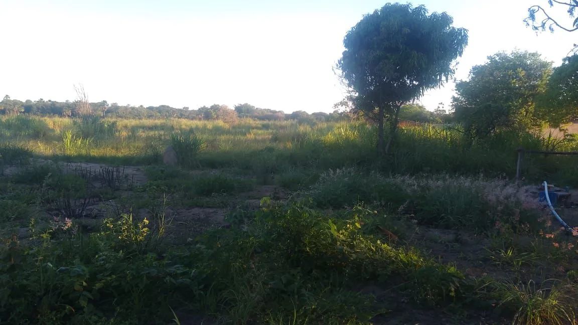 "Espaço, Verde e Simplicidade: Chácara com Casa e 3 Hectares"