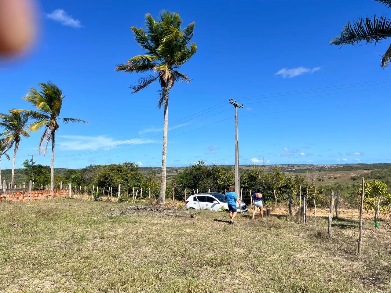 Vendo terreno para chácara em salgado povoado tombo  - Foto 3
