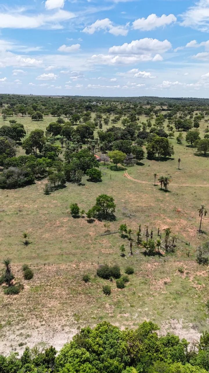 03 Chácaras Próxima a Campo Grande Juntas ou Separadas!