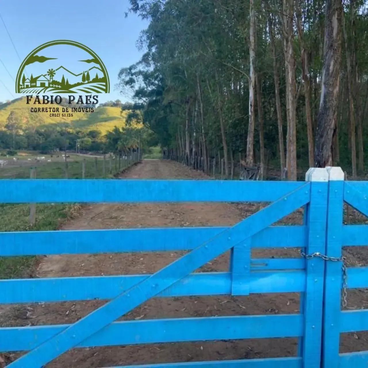 fazenda à venda com 359 hectares. - Foto 2