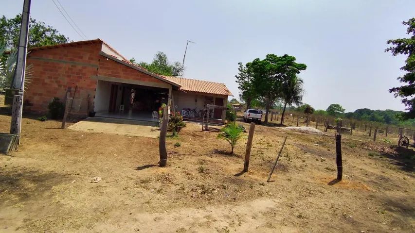 Fazenda dos sonhos 136 ha - Foto 5