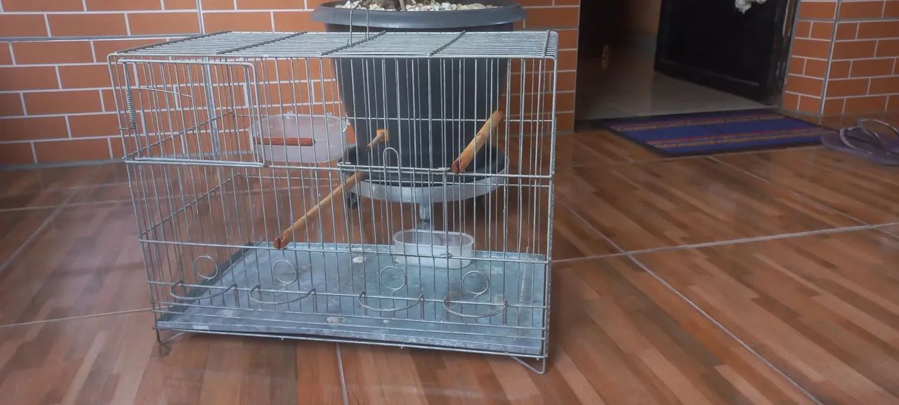 Gaiola novinha - Foto 2