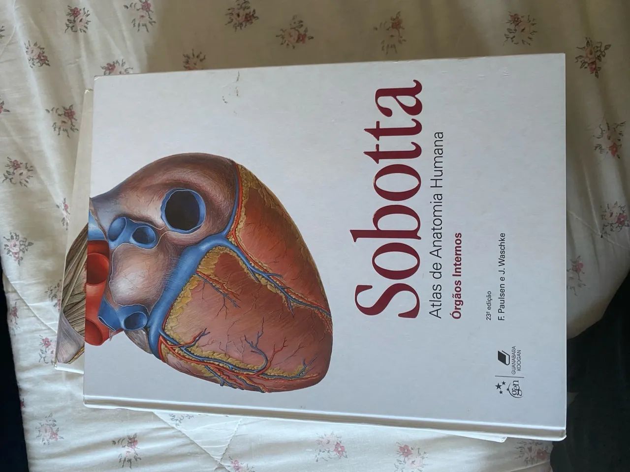 Atlas de Anatomia Humana Sobotta - Foto 5