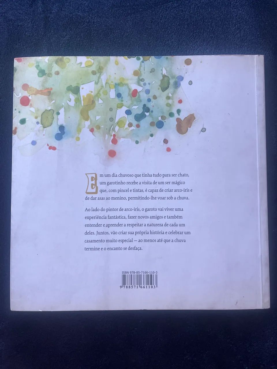 Livro O Pintor de Arco-íris  - Foto 2