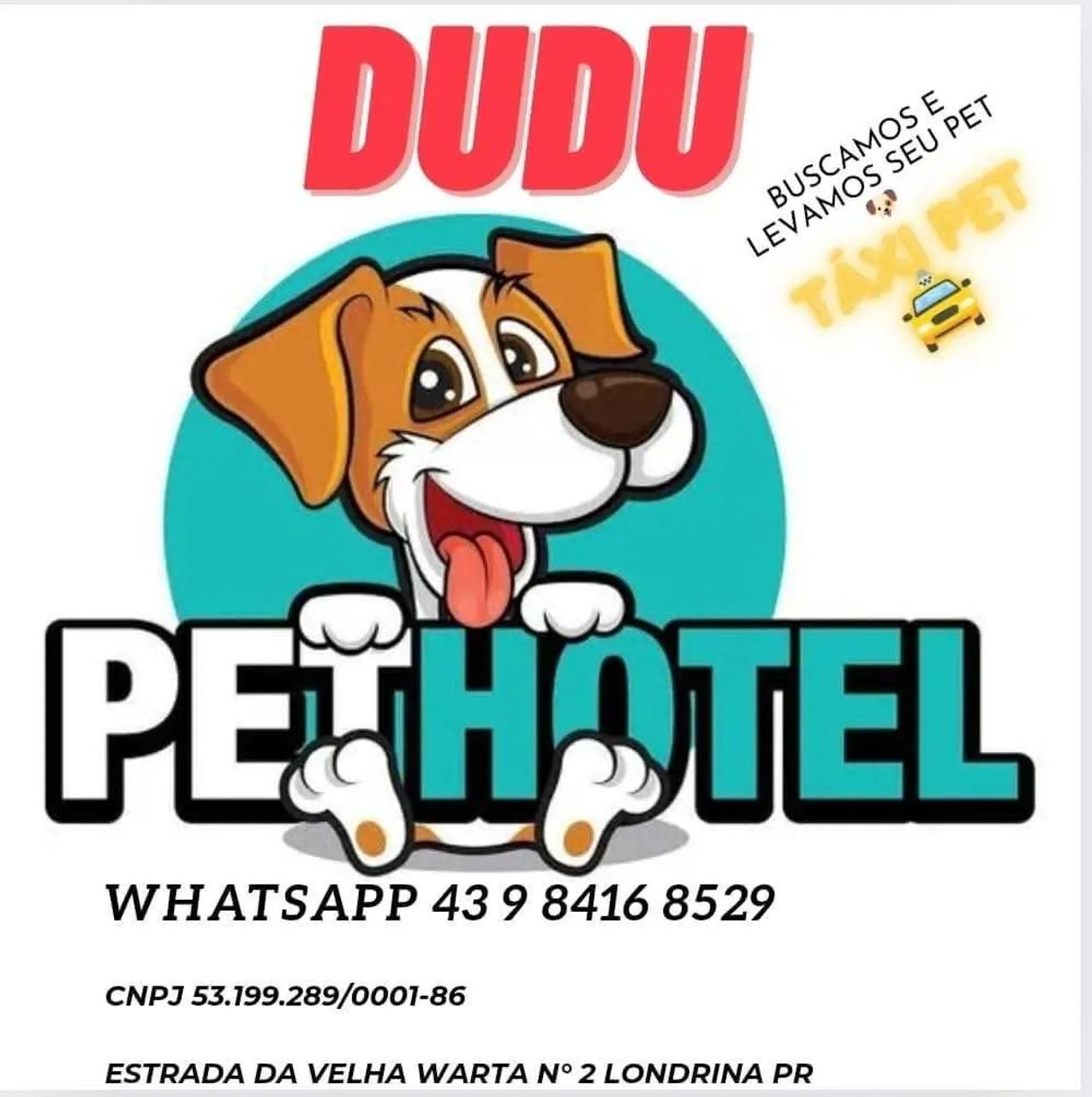 Pet hotel PET shop  - Foto 2