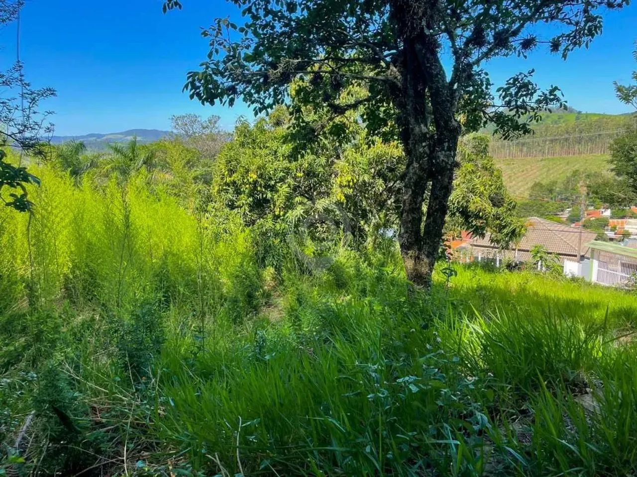 Terreno-À VENDA-Parque das Estâncias-Morungaba-SP - Foto 3