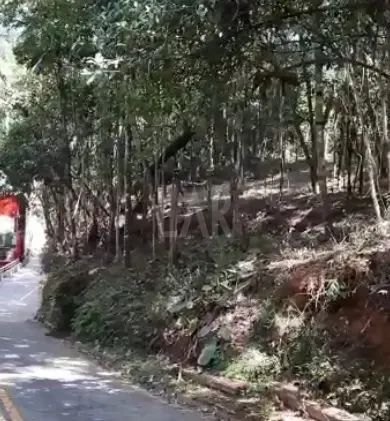 Lote em Condomínio à venda, Estância Serrana - Nova Lima/MG - Foto 11