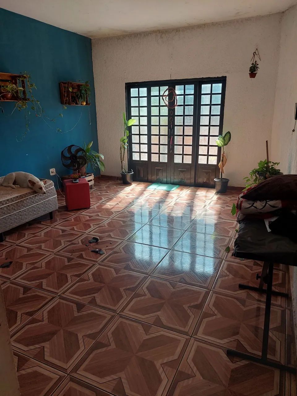 Foto - Araraquara - Vila Harmonia