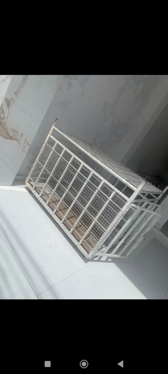 Gaiola para Cães Grande
