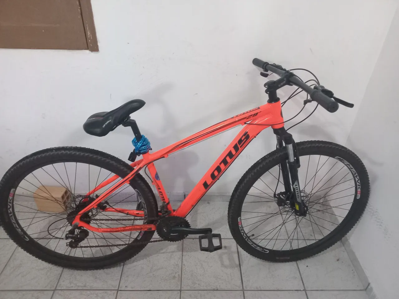 Bicicleta Lotus 29er - Mountain Bike