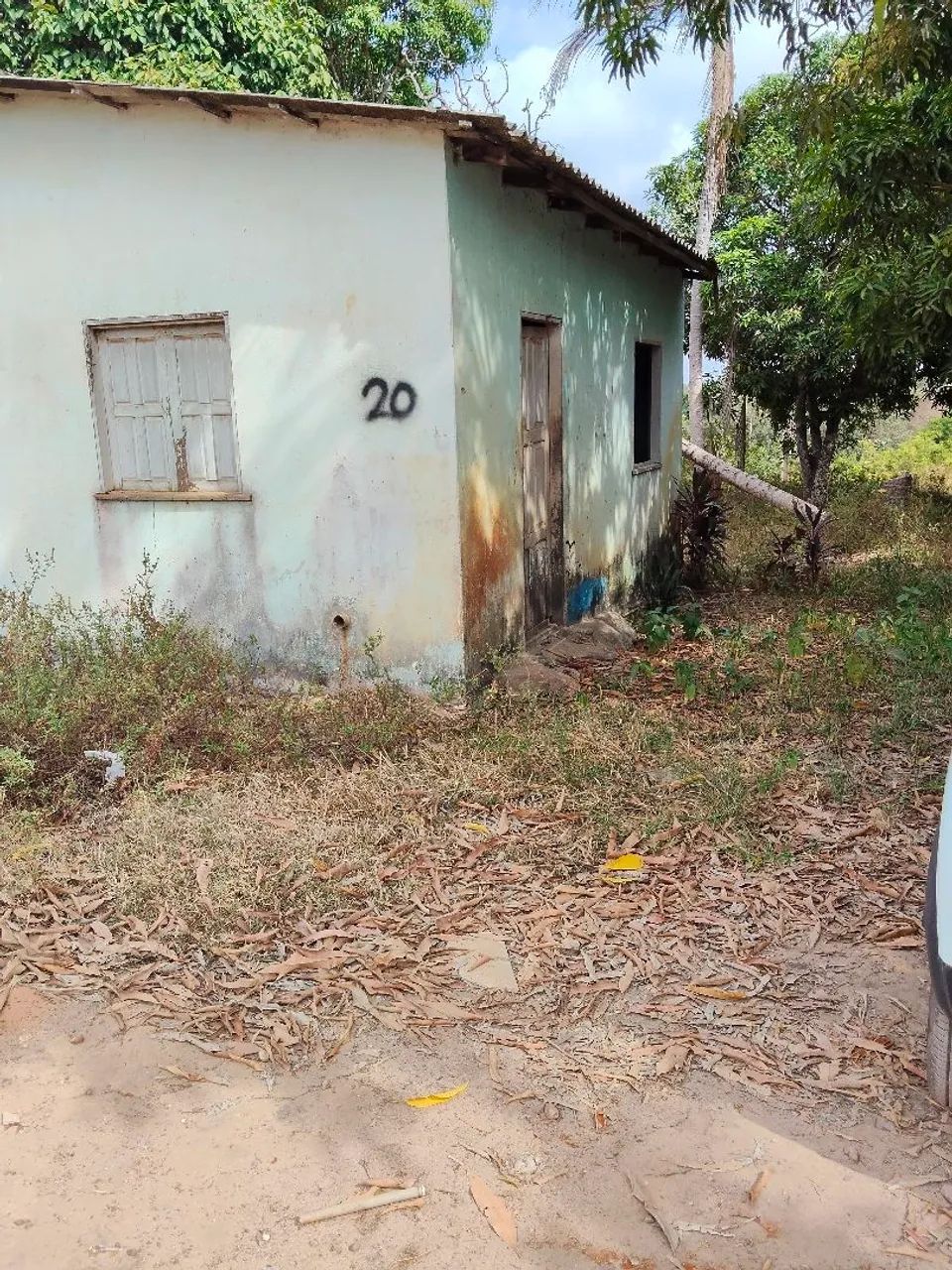 Foto - Santarém - Interventoria
