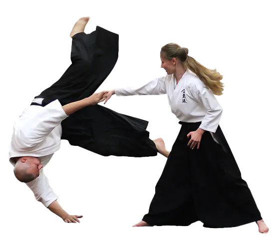 CURSO DE AIKIDO FAIXA PRETA C/ CERTIFICADO - Foto 2
