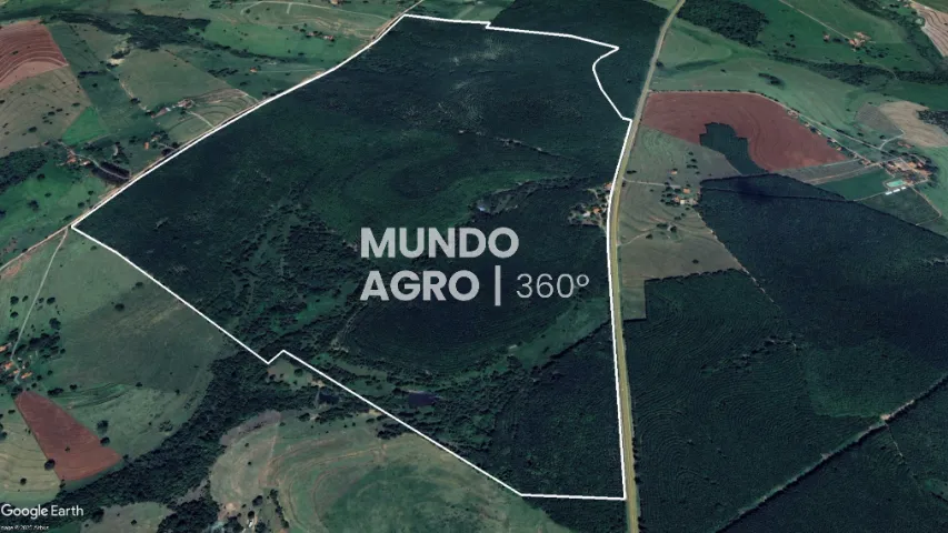 66 Alqueires em seringueira - beira do asfalto