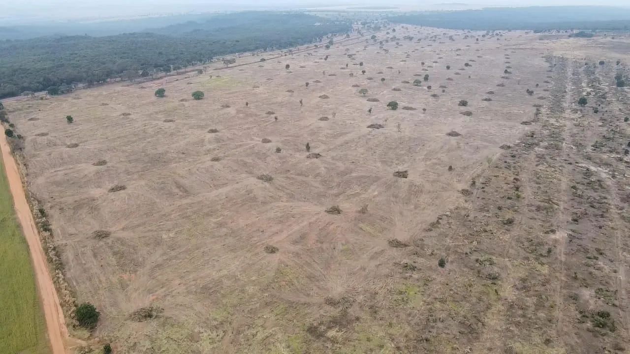Fazenda arrendamento 2.250 hect em Sonora MS.  - Foto 2