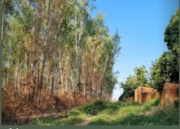 Imóvel para venda com 56 metros quadrados em Parque do Lago - Várzea Grande - MT