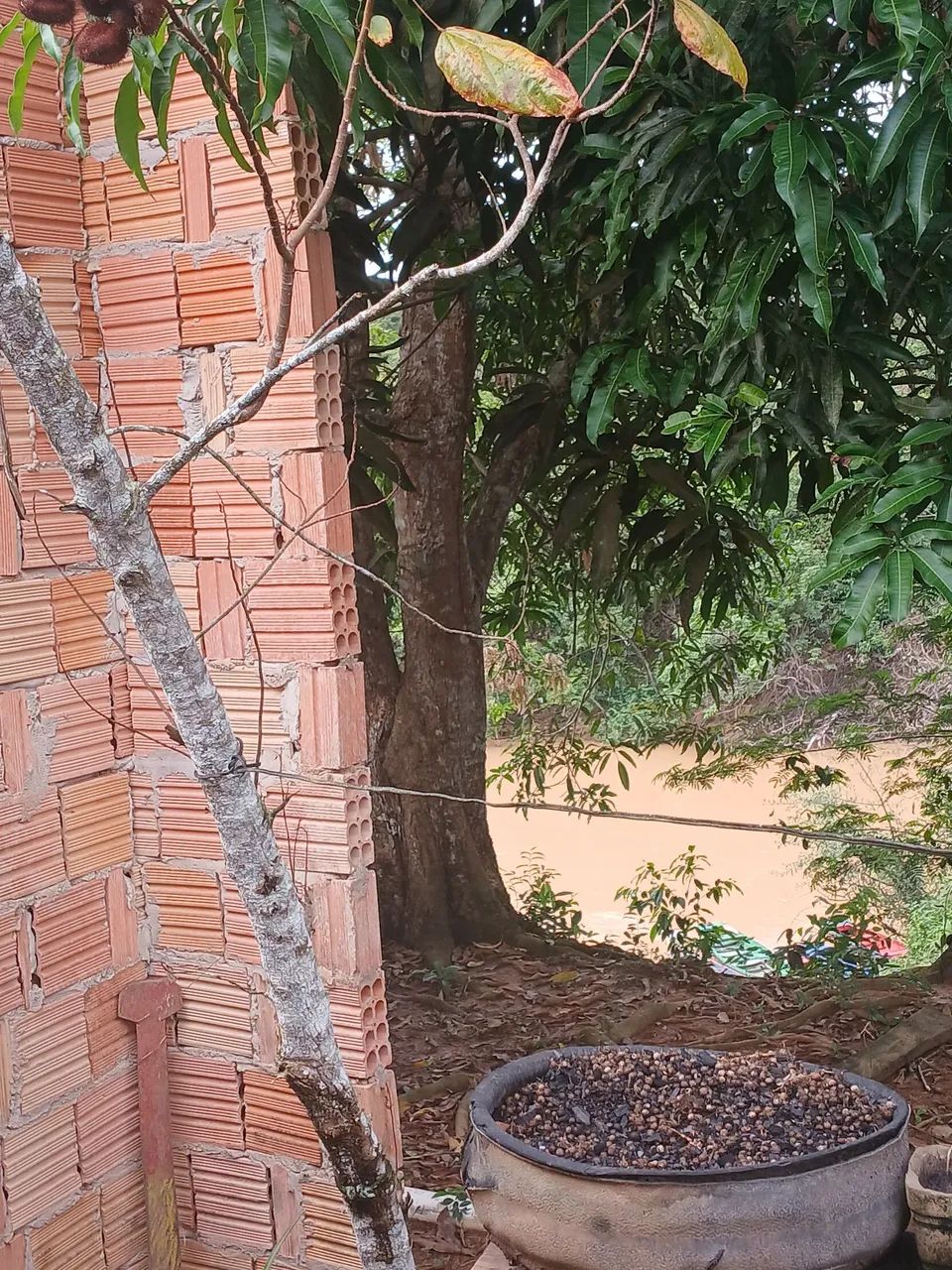Vendo essa casa em plácido de Castro  - Foto 2