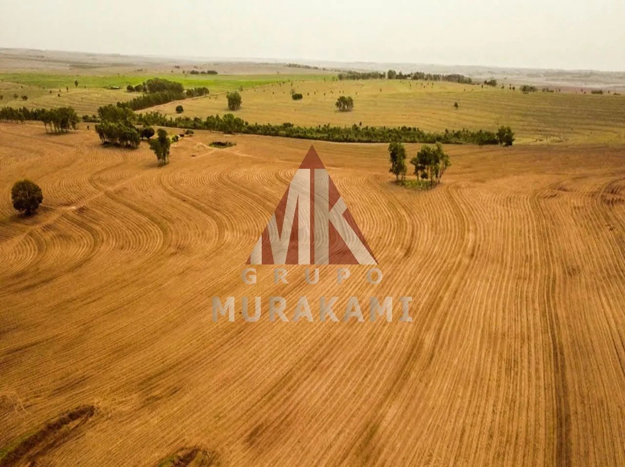 FAZENDA - MARIA HELENA - PR - Foto 5