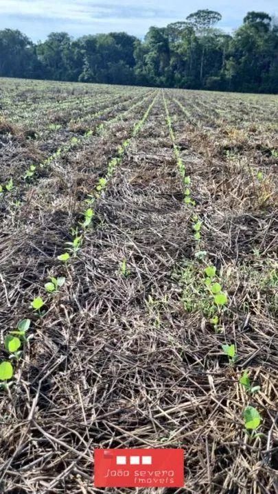 Fazenda para Venda em Nova Mutum - Foto 2