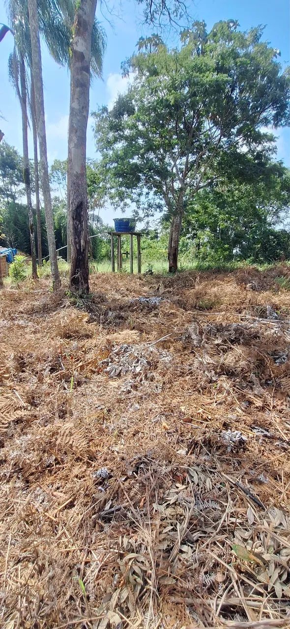 Terreno Redenção da Serra - Foto 5