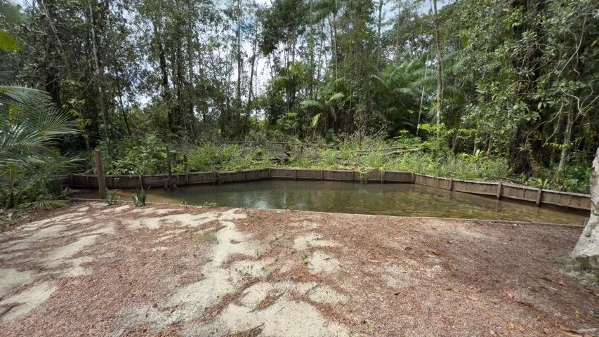 VENDO SÍTIO LOCALIZADO PRÓXIMO DA AGROVILA DE IARACEMA