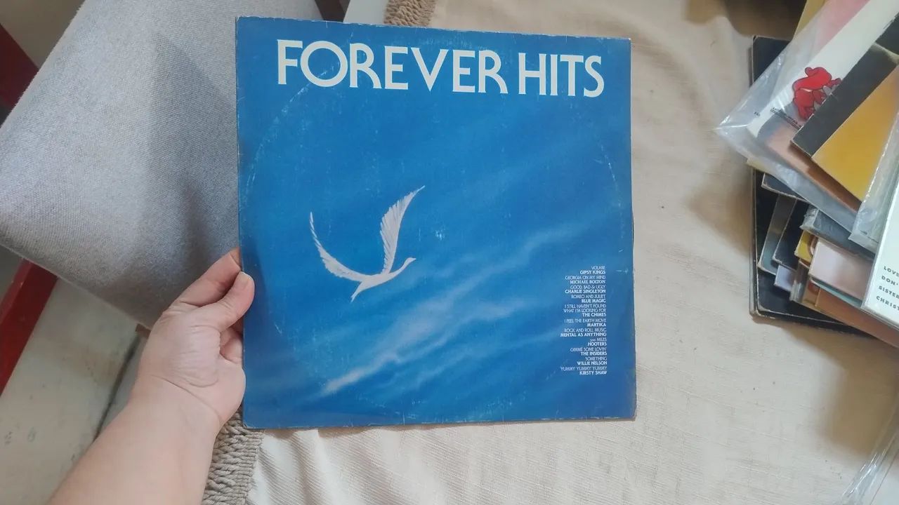 Discos de Vinil 