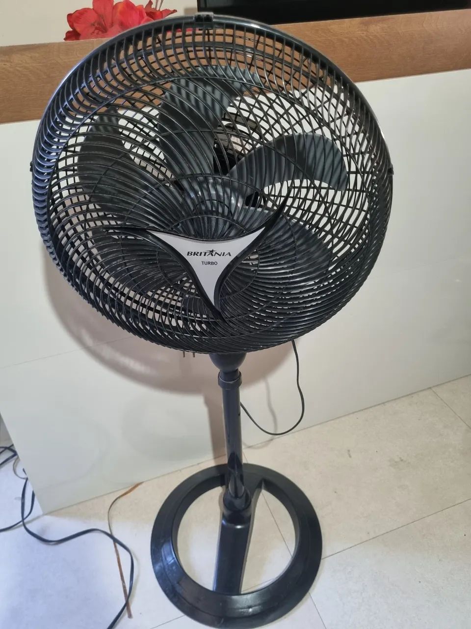 Ventilador potente funcionando perfeitamente 110v  