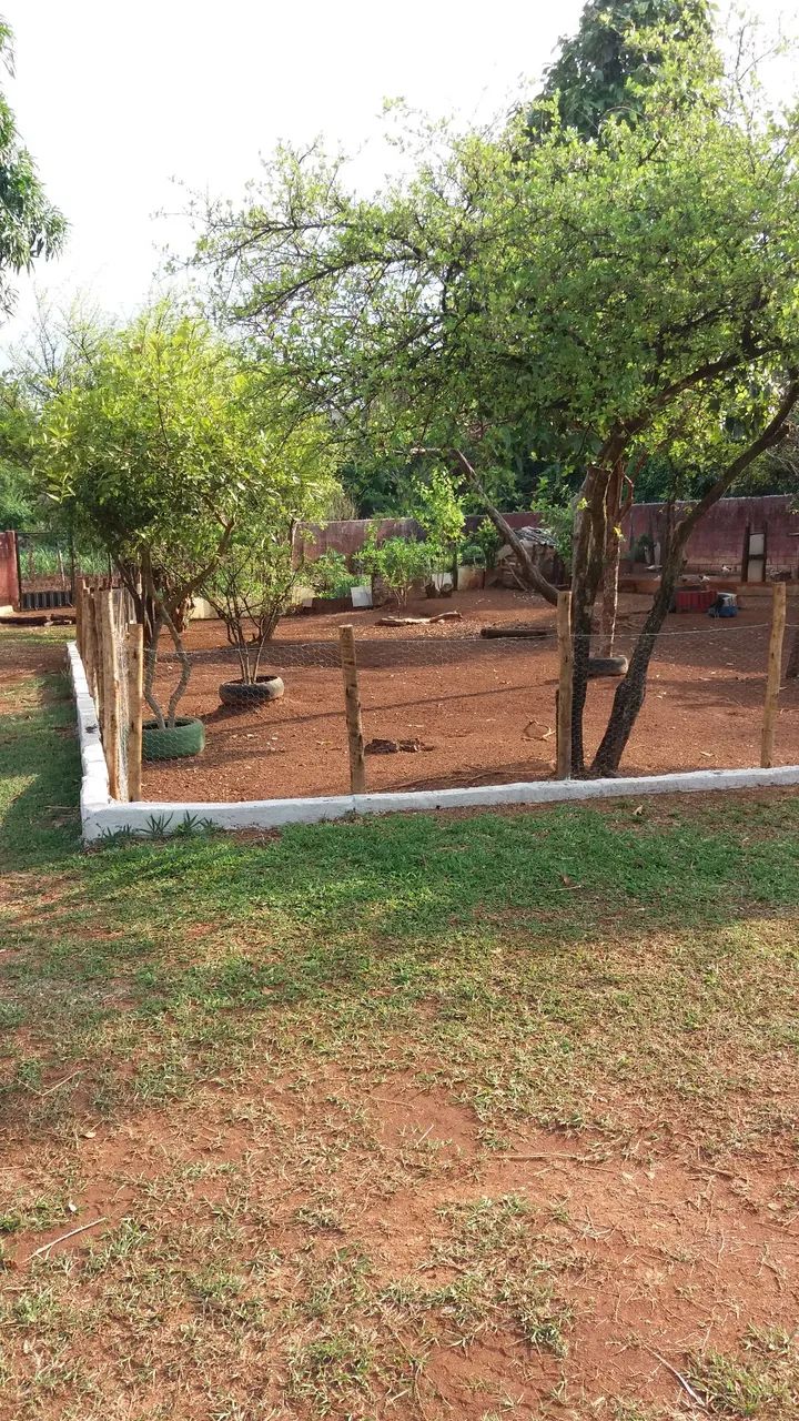 Caseiro - Foto 4
