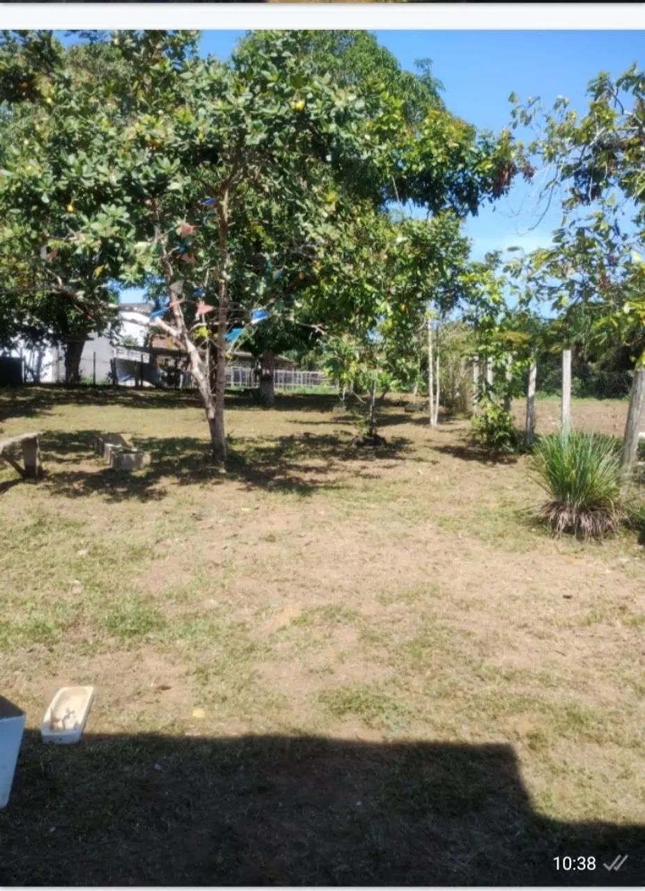 Vendo Sítio  - Foto 2