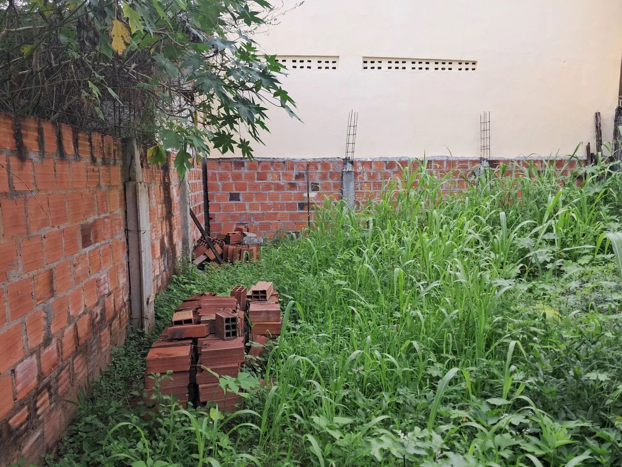 Terreno 100m2 todo murado  - Foto 2