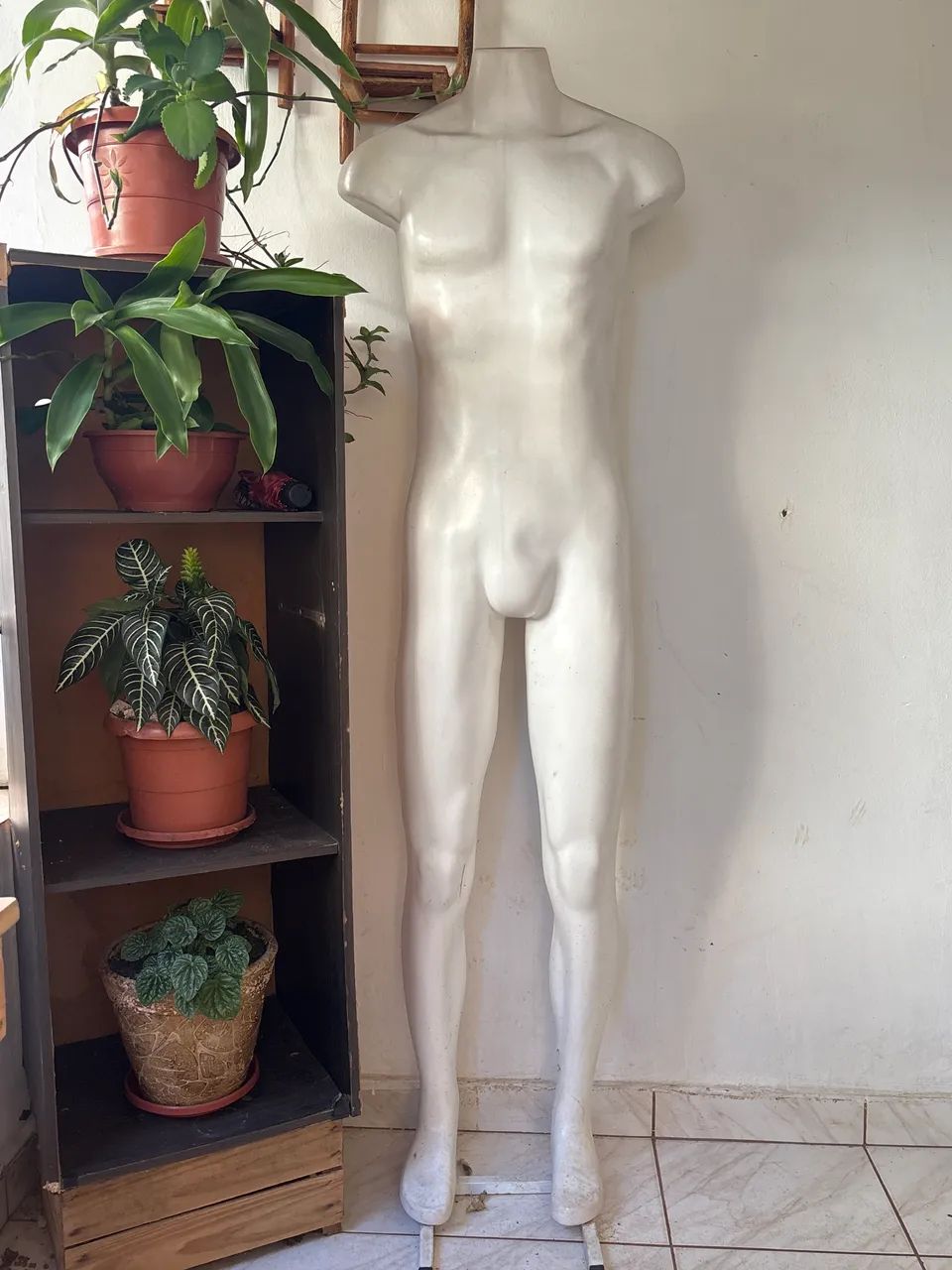 Manequim masculino  - Foto 4