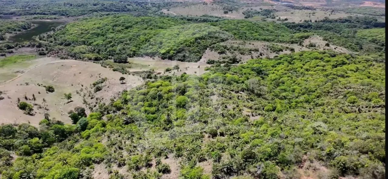 Excelente Oportunidade para Investidores: Terreno de Grande Porte no Sítio Cabrita, São Cr - Foto 6