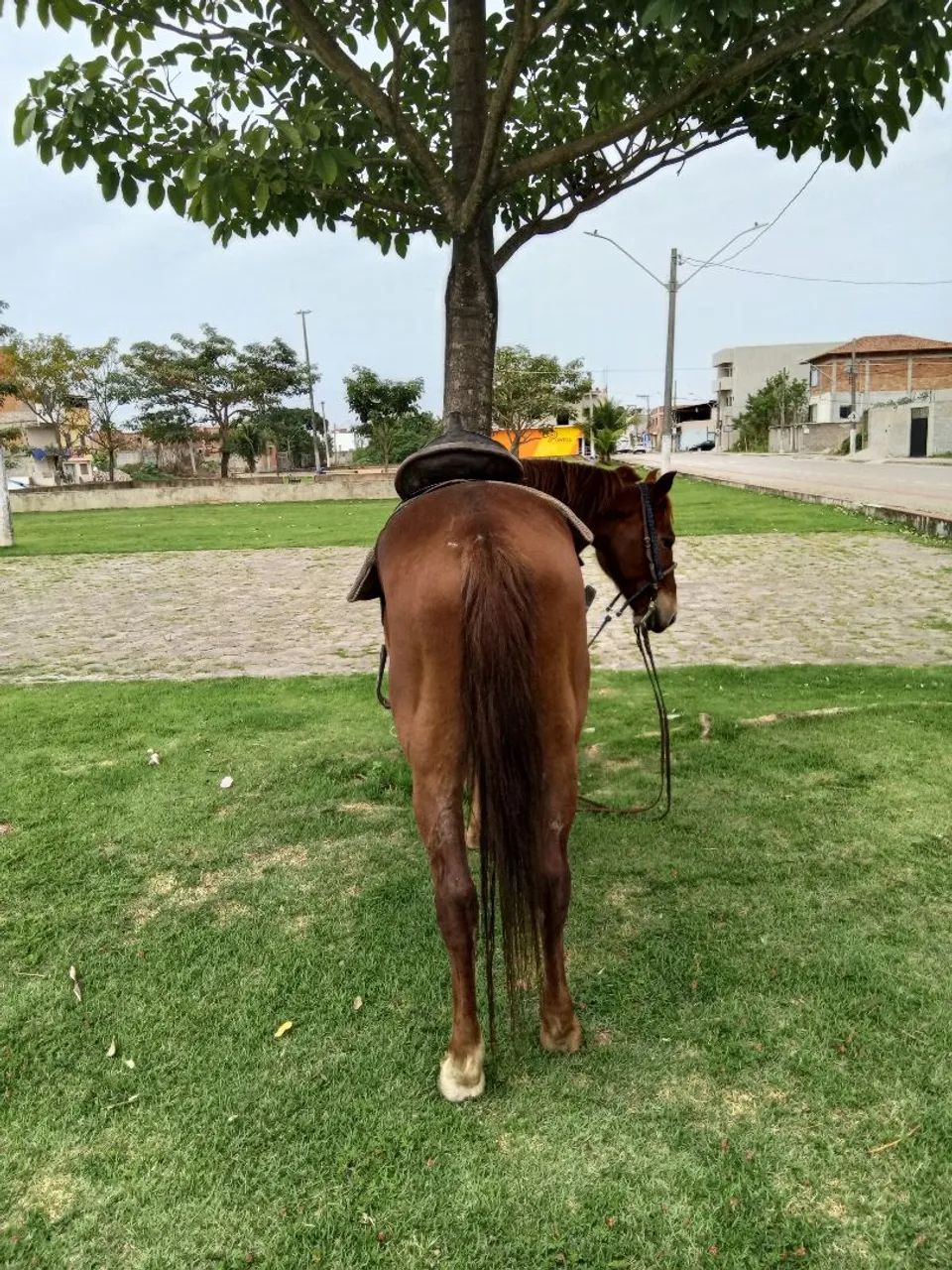 Vendo ou troco  - Foto 4