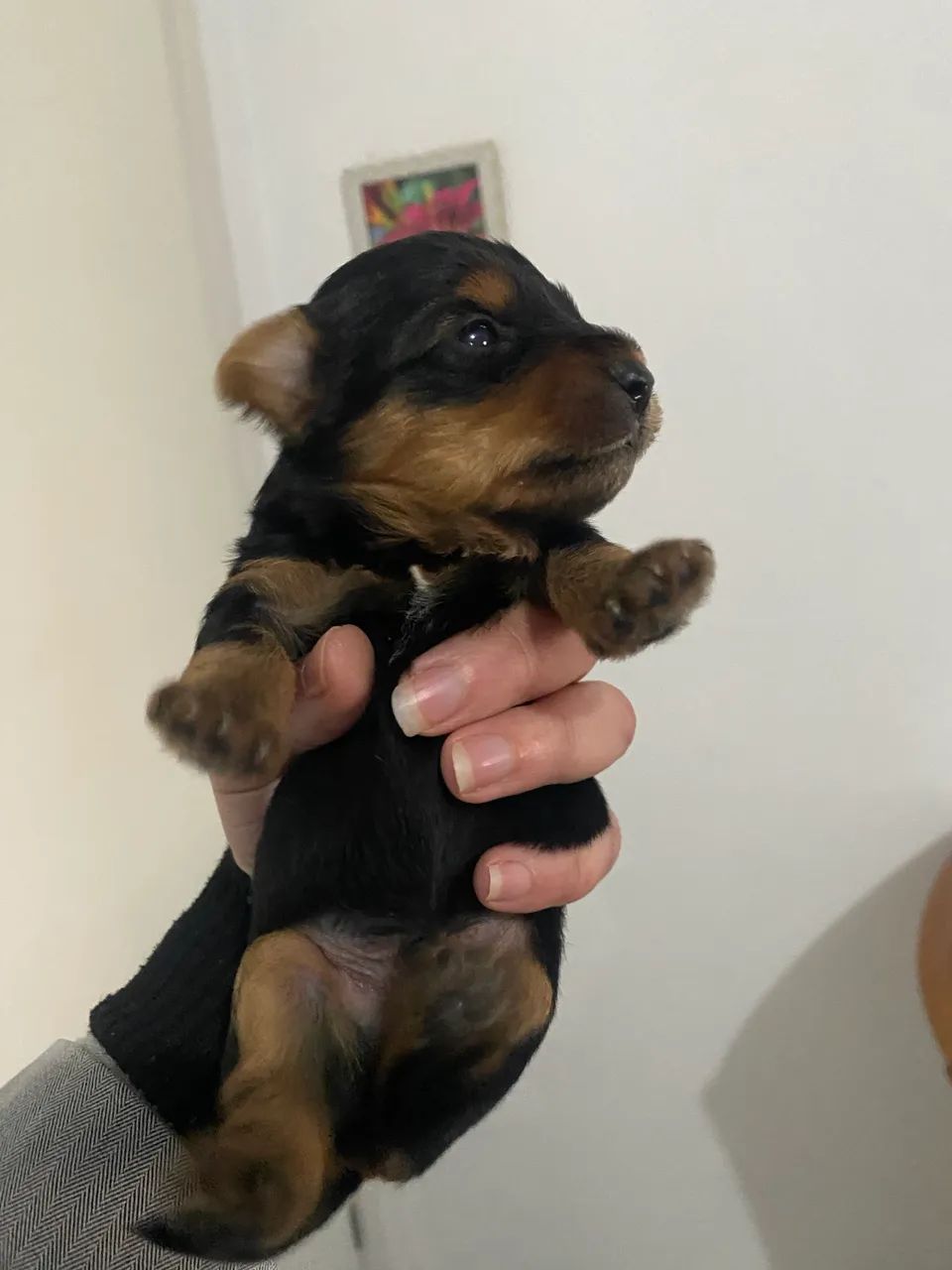 Vende-se 