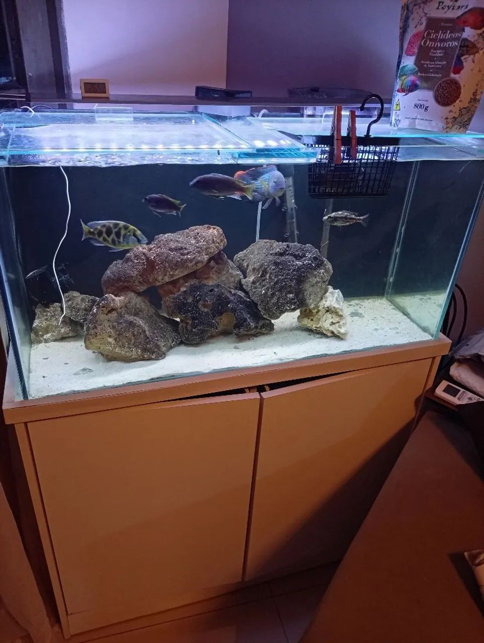 Aquário de 140lt com móvel completo  - Foto 4