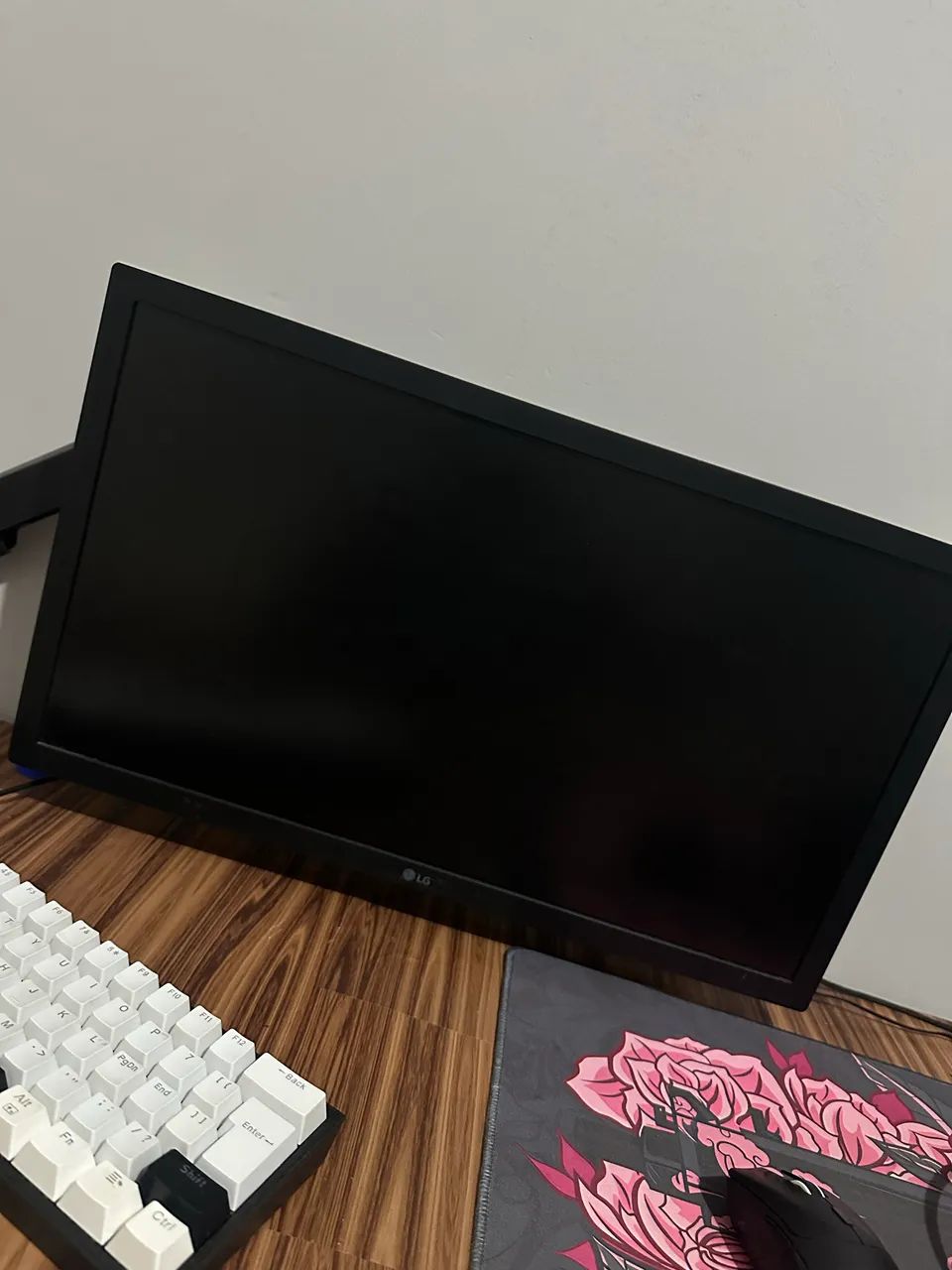 Monitor LG 22 polegadas 75hz 