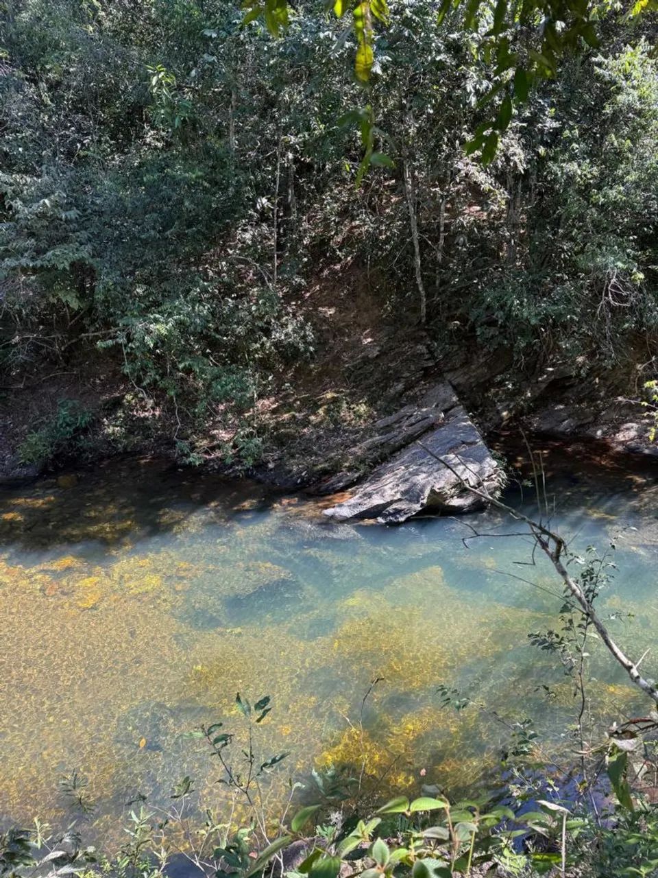 Oportunidade área rural em Pirenópolis 3.5 km da cidade - Foto 4