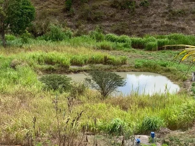 Haras em Gravatá com 5,5 ha.  - Foto 12