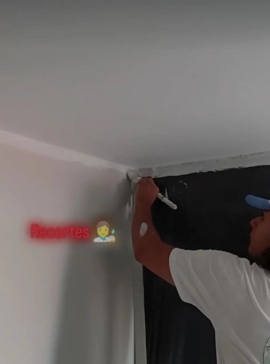 Pintor profissional - Foto 4