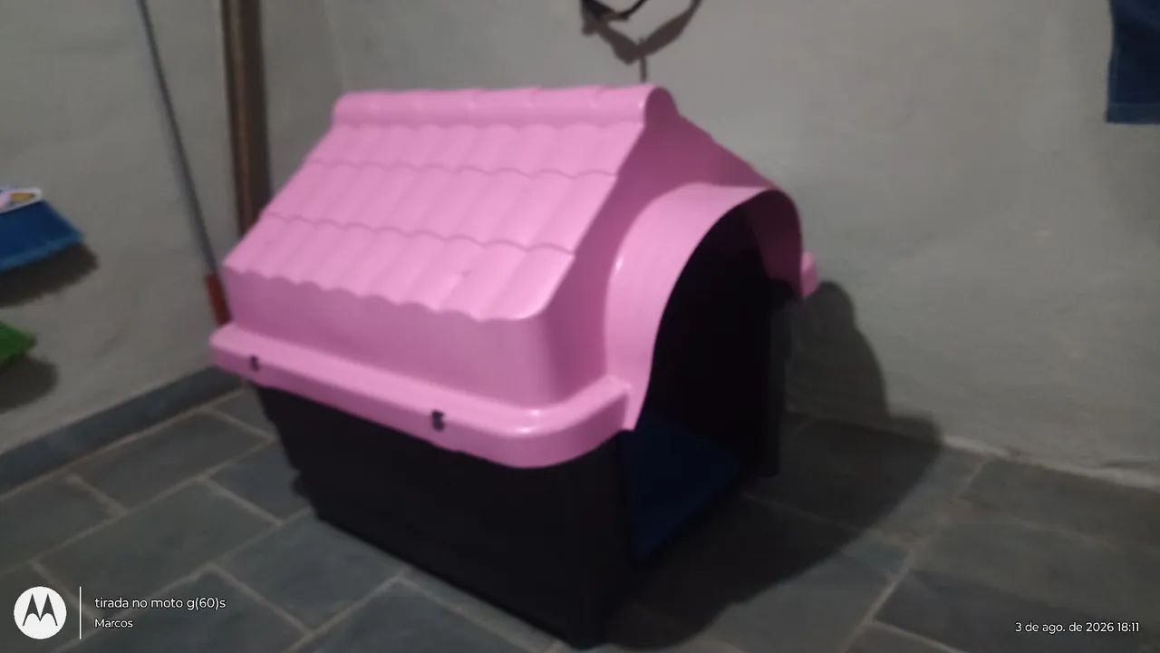 Casinha pra cachorro 
