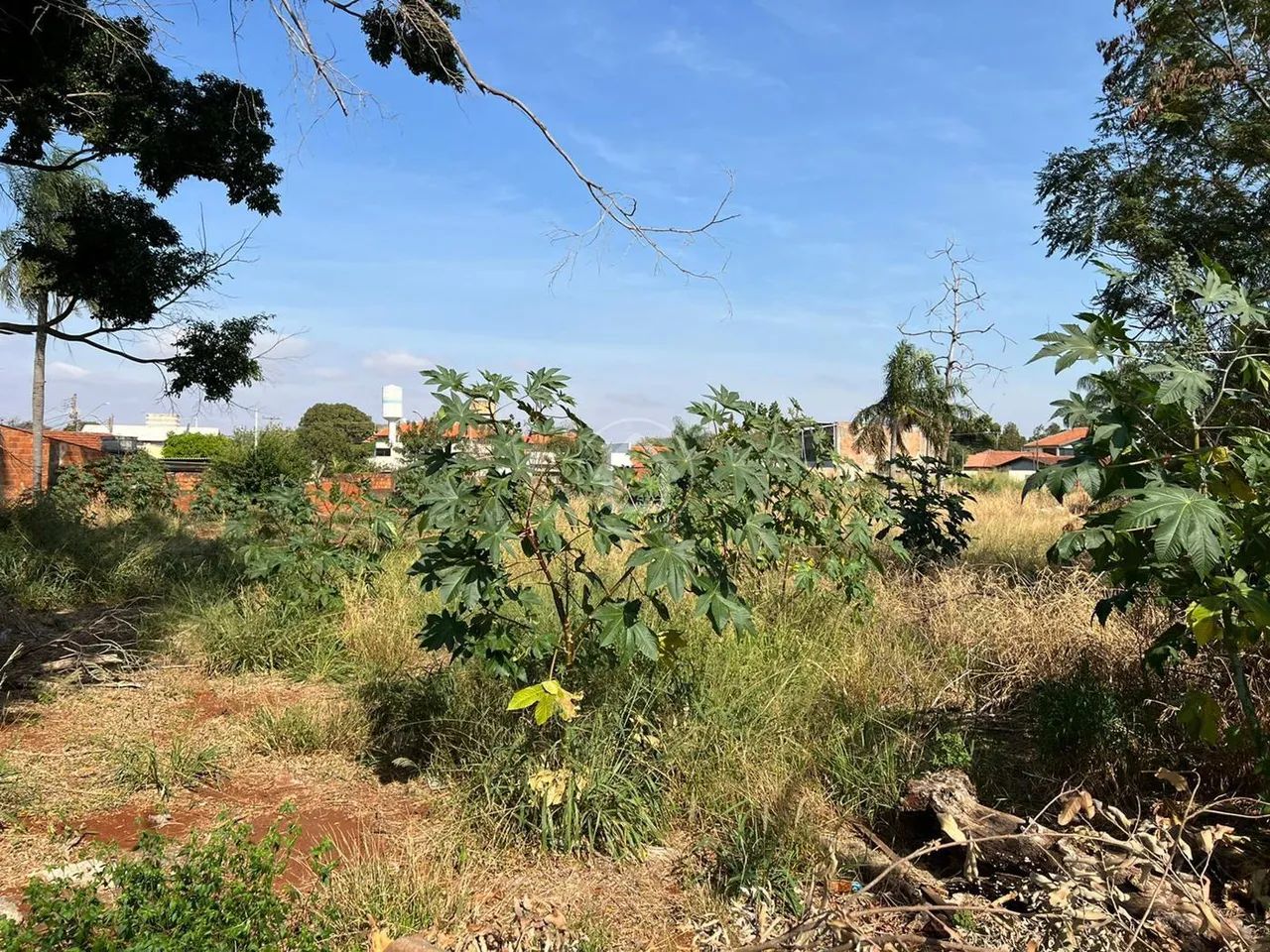 OTIMO TERRENO PARA INVESTIMENTO - Foto 3