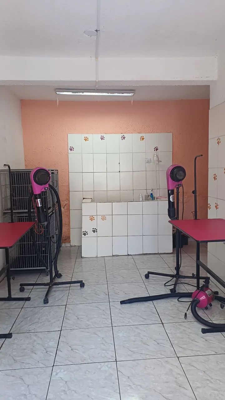Vendo um Banho e Tosa - Foto 4