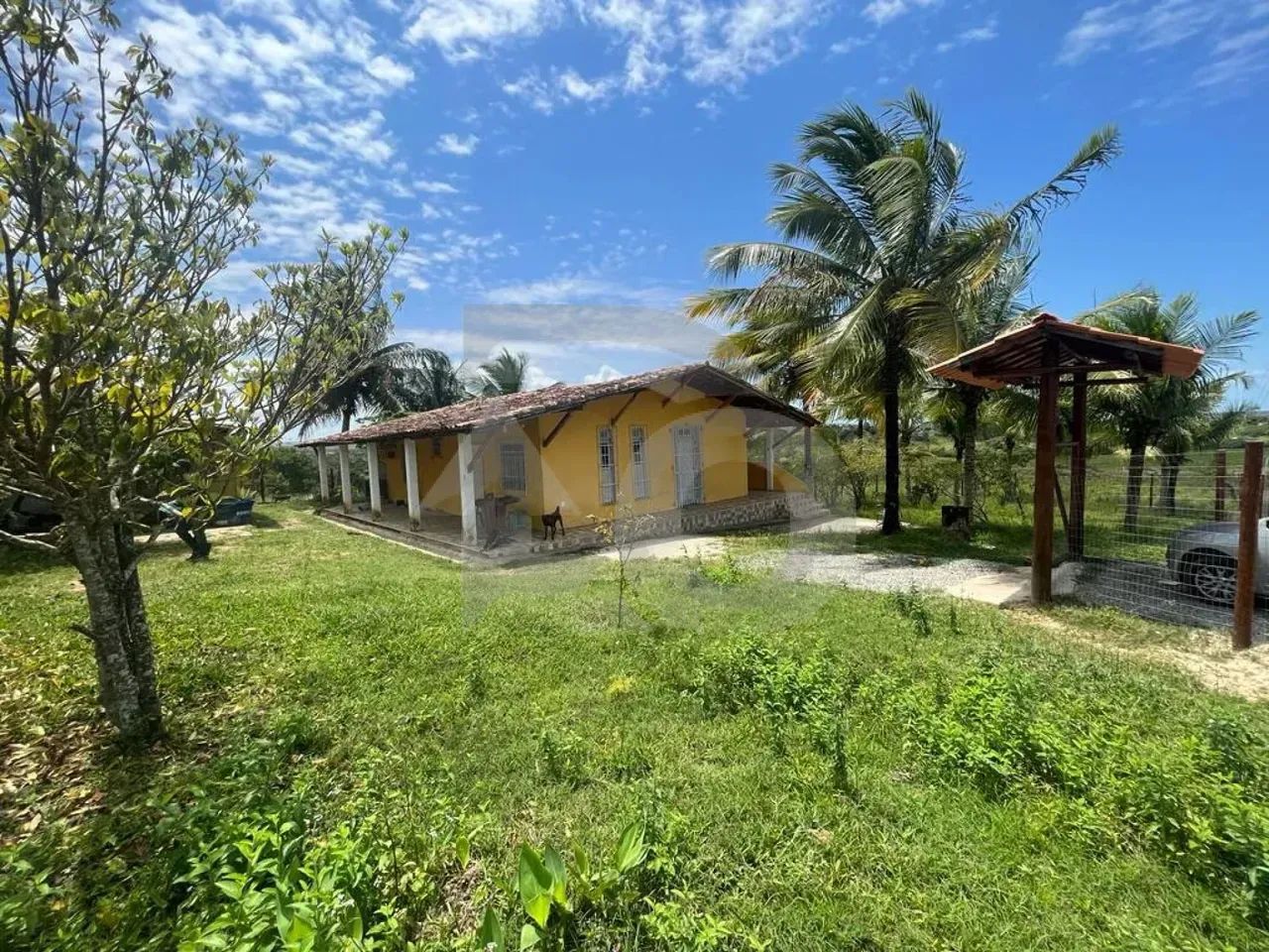 Sítio no Povoado Boa Nova com 4 Hectares, Pastagem e Lagoa - Foto 3