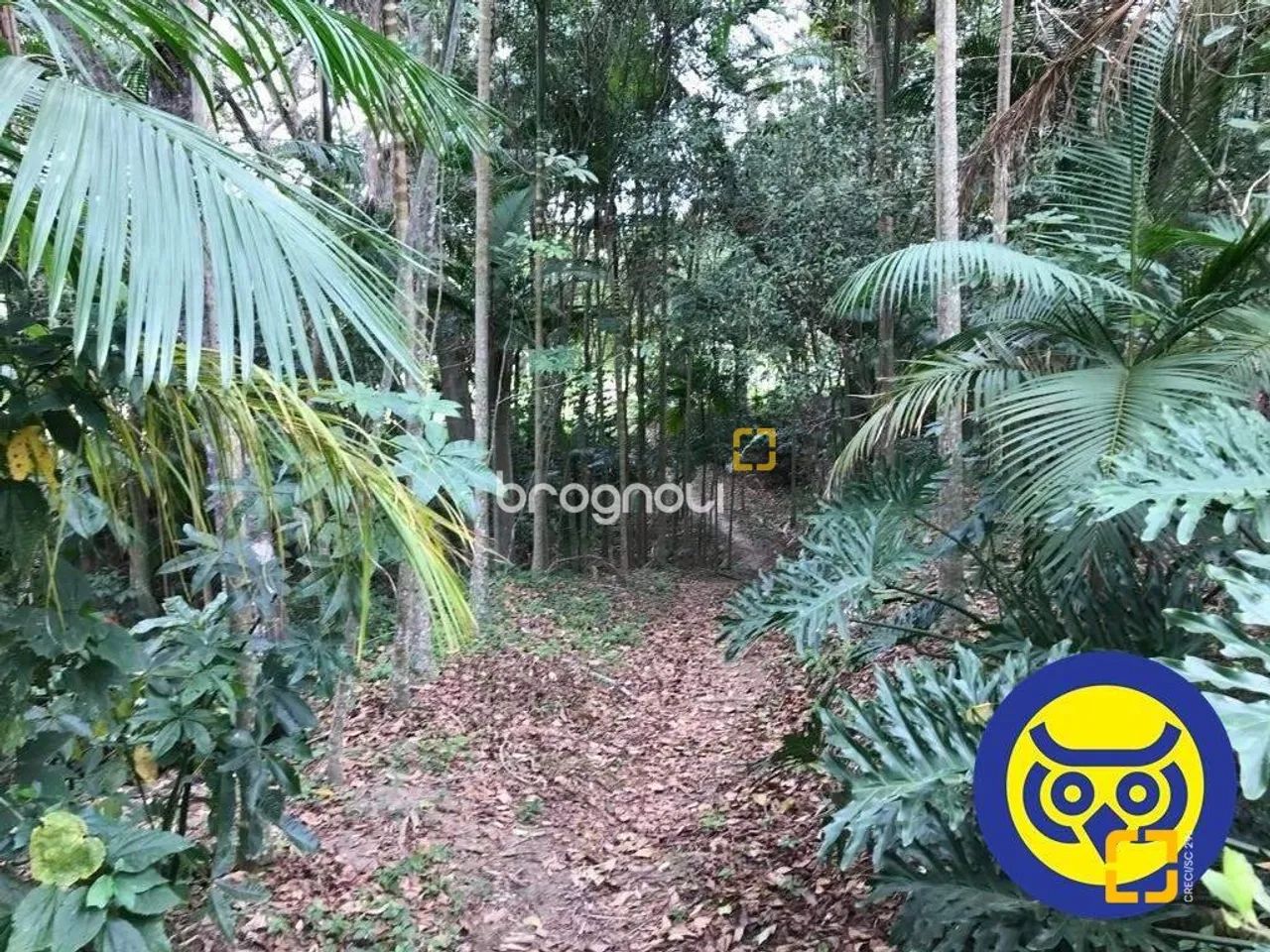 Lote/Terreno plano com 50.000m² - bairro Vargem Grande - Florianópolis SC - Foto 3
