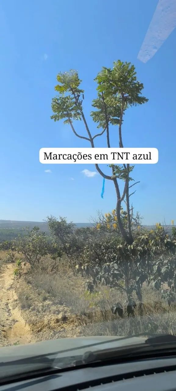 Oportunidade  - Foto 5